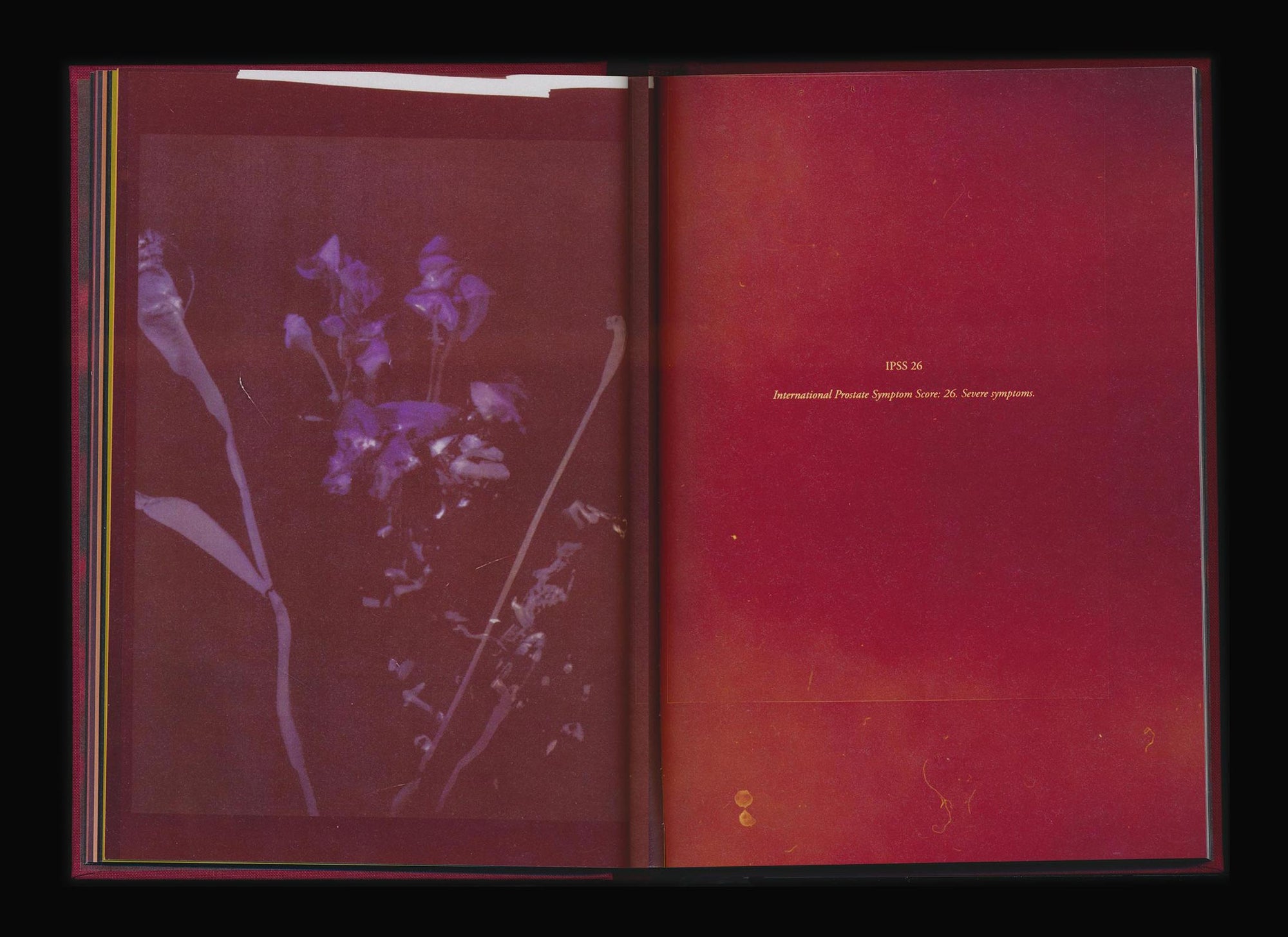 Akosua Viktoria Adu-Sanyah: No Flowers