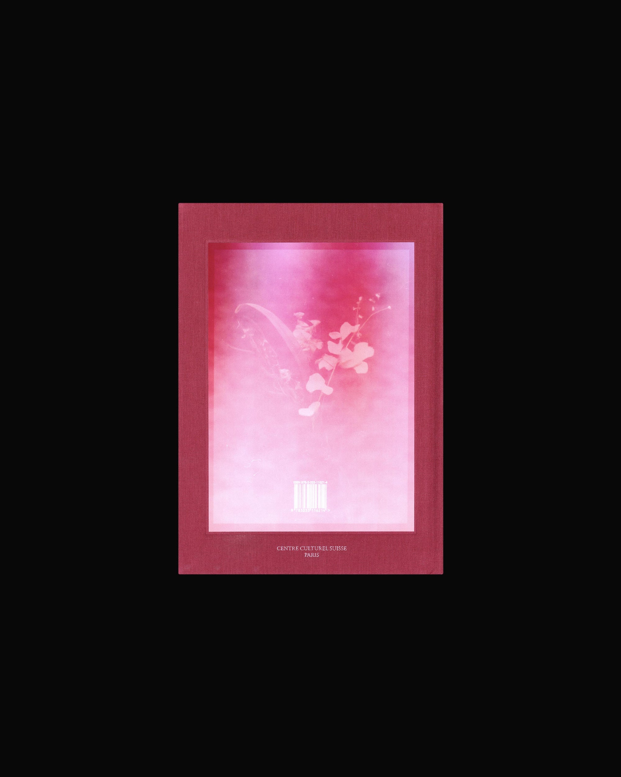 Akosua Viktoria Adu-Sanyah: No Flowers