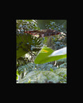 Christian Grogg: Nomadenloft