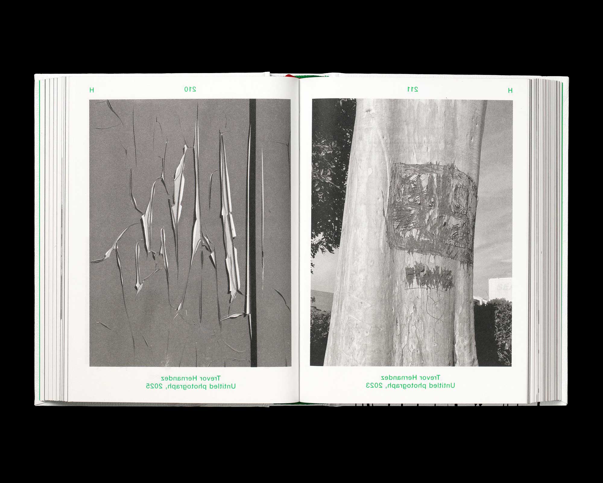 Dictionary of the Illegible by Laurenz Brunner