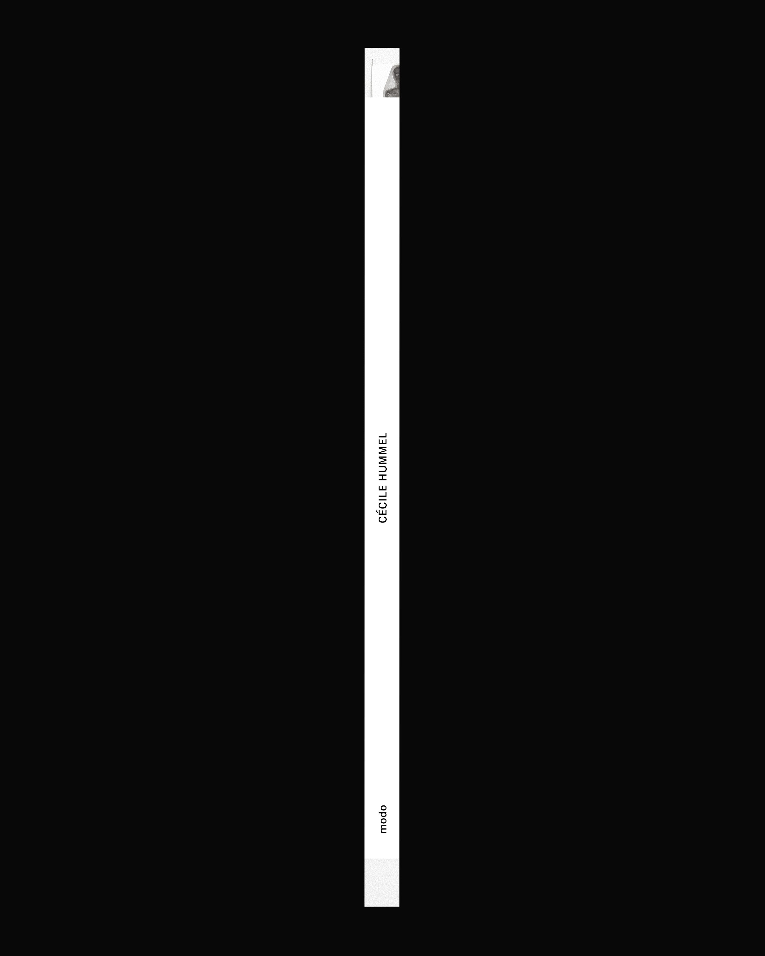Kabinett Edition No. 01: Cécile Hummel – To Plunge and Emerge