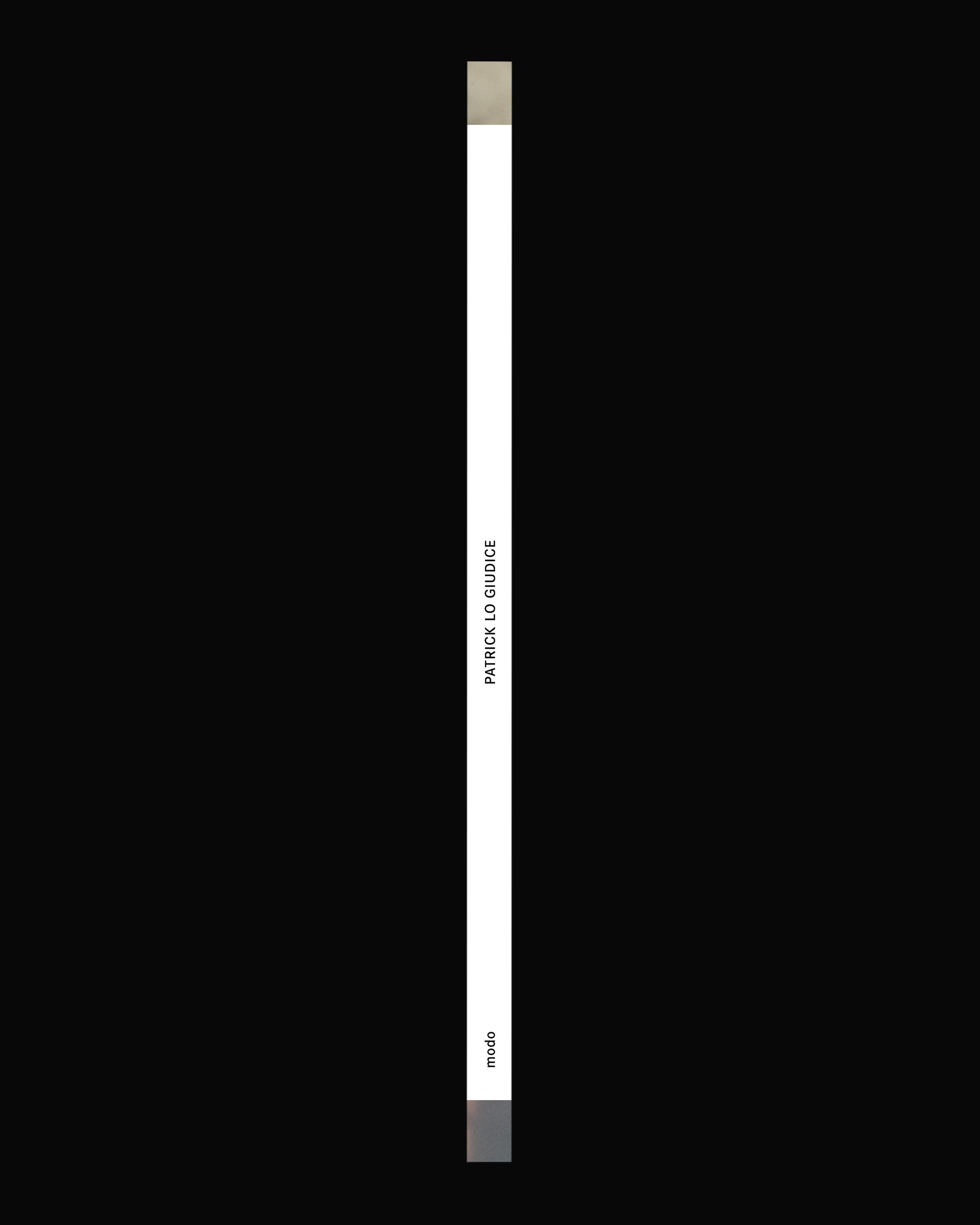 Kabinett Edition No. 06: Patrick Lo Guidice – Landscapes
