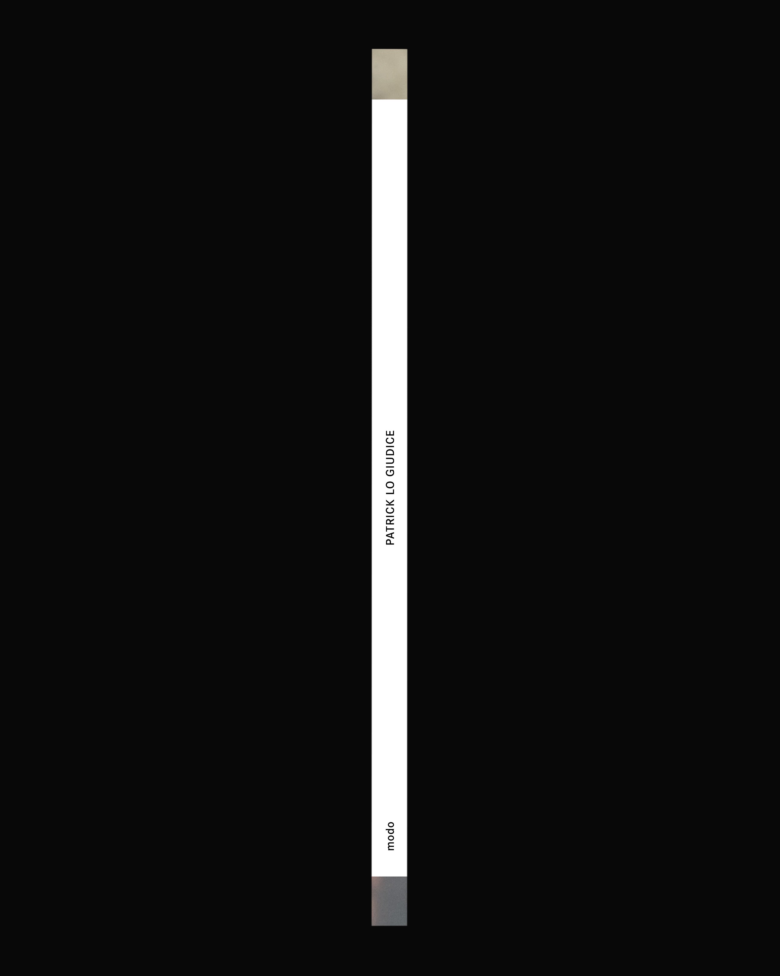 Kabinett Edition No. 06: Patrick Lo Guidice – Landscapes