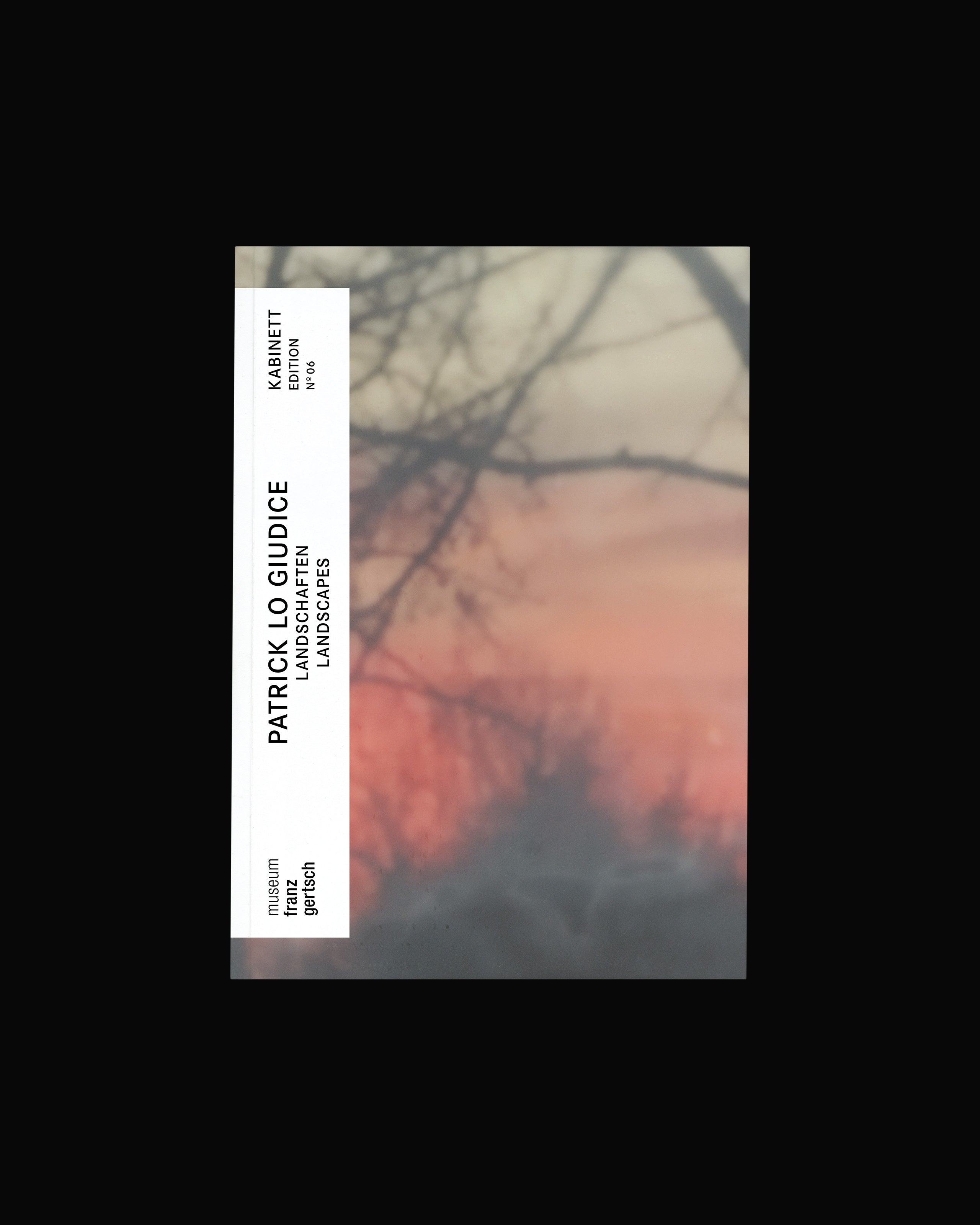 Kabinett Edition No. 06: Patrick Lo Guidice – Landscapes