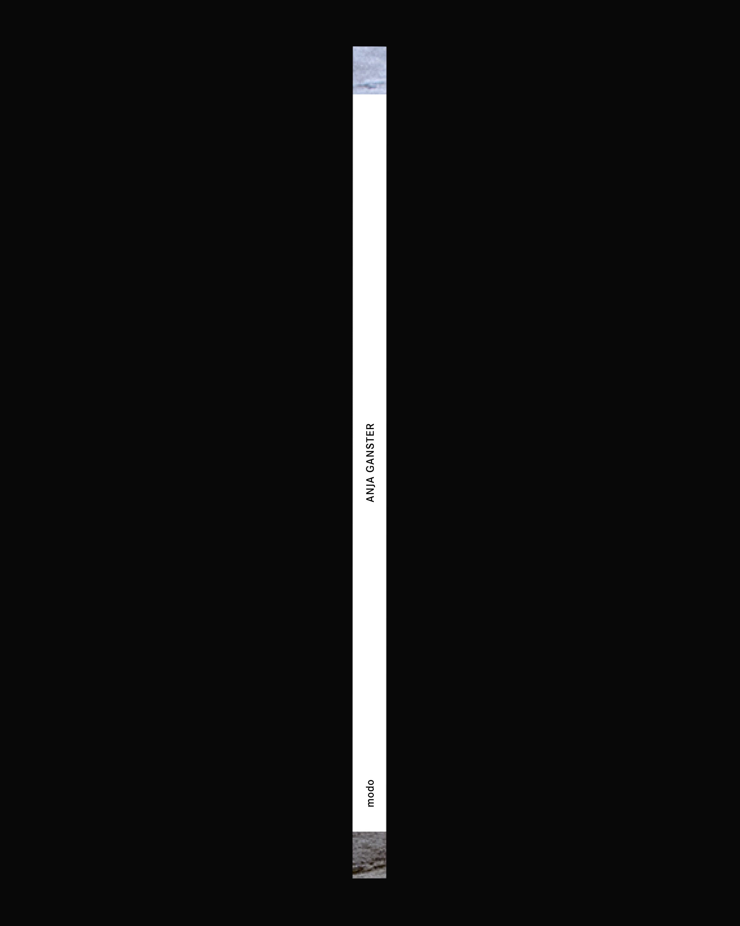 Kabinett Edition No. 07: Anja Ganster – Tidal Friction (Constellation 6)
