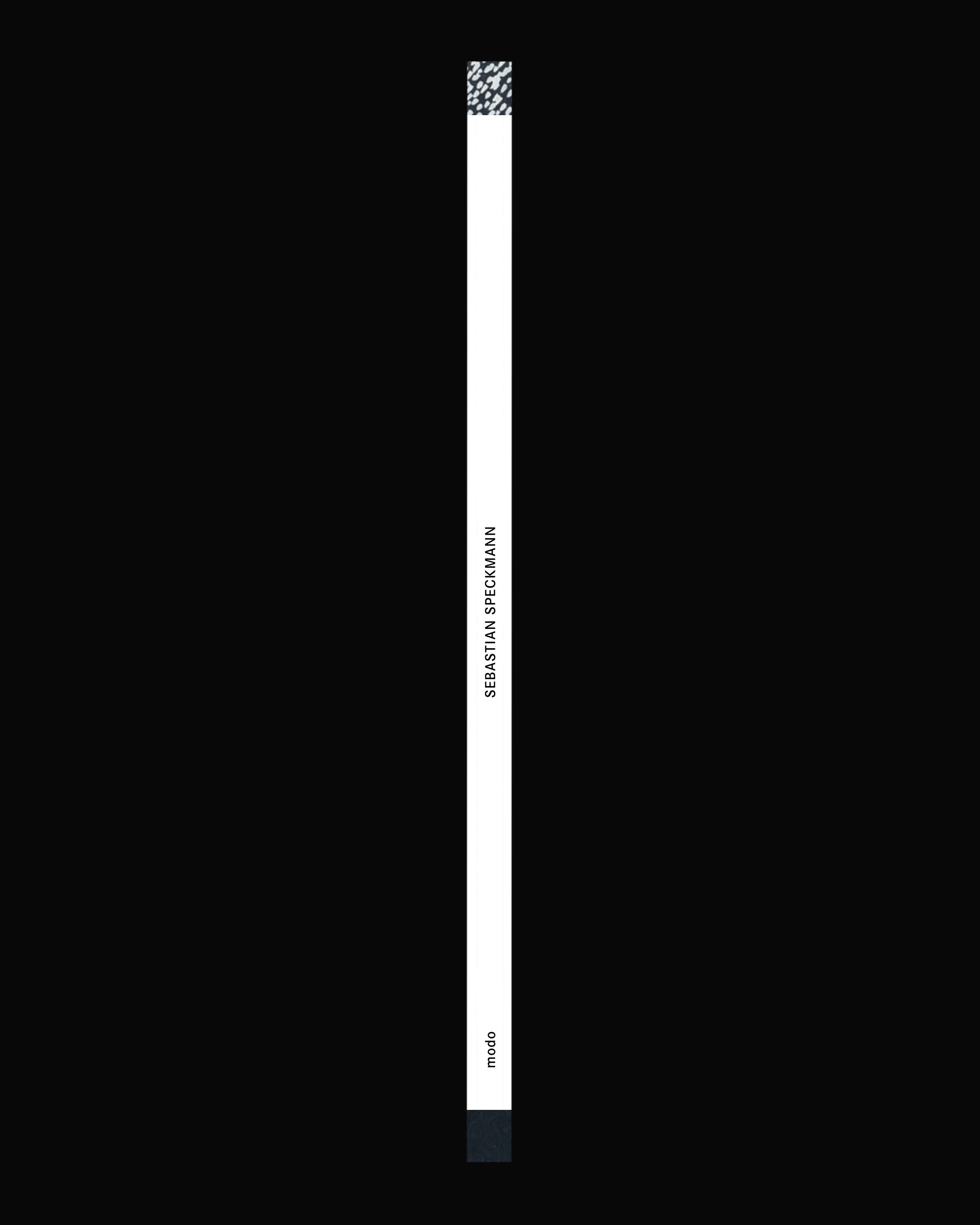Kabinett Edition No. 09: Sebastian Speckmann – Some Things Can Be Left Unsaid