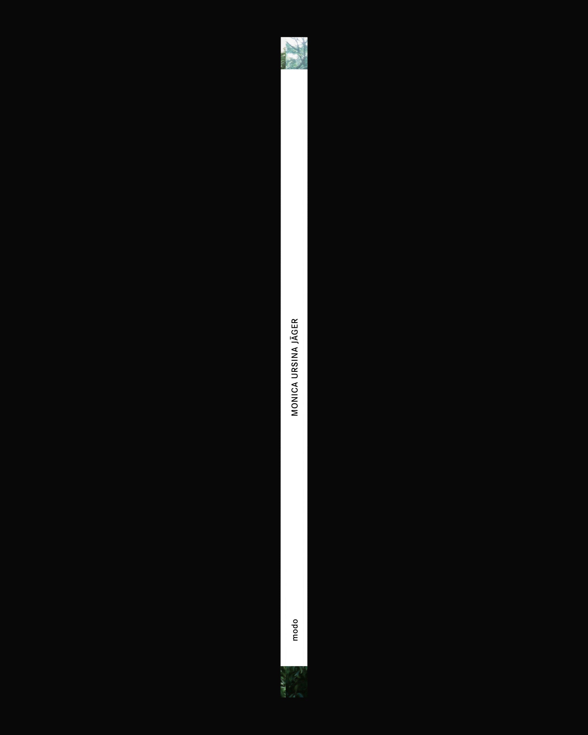 Kabinett Edition No. 10: Monica Ursina Jäger – Shifting Topographies