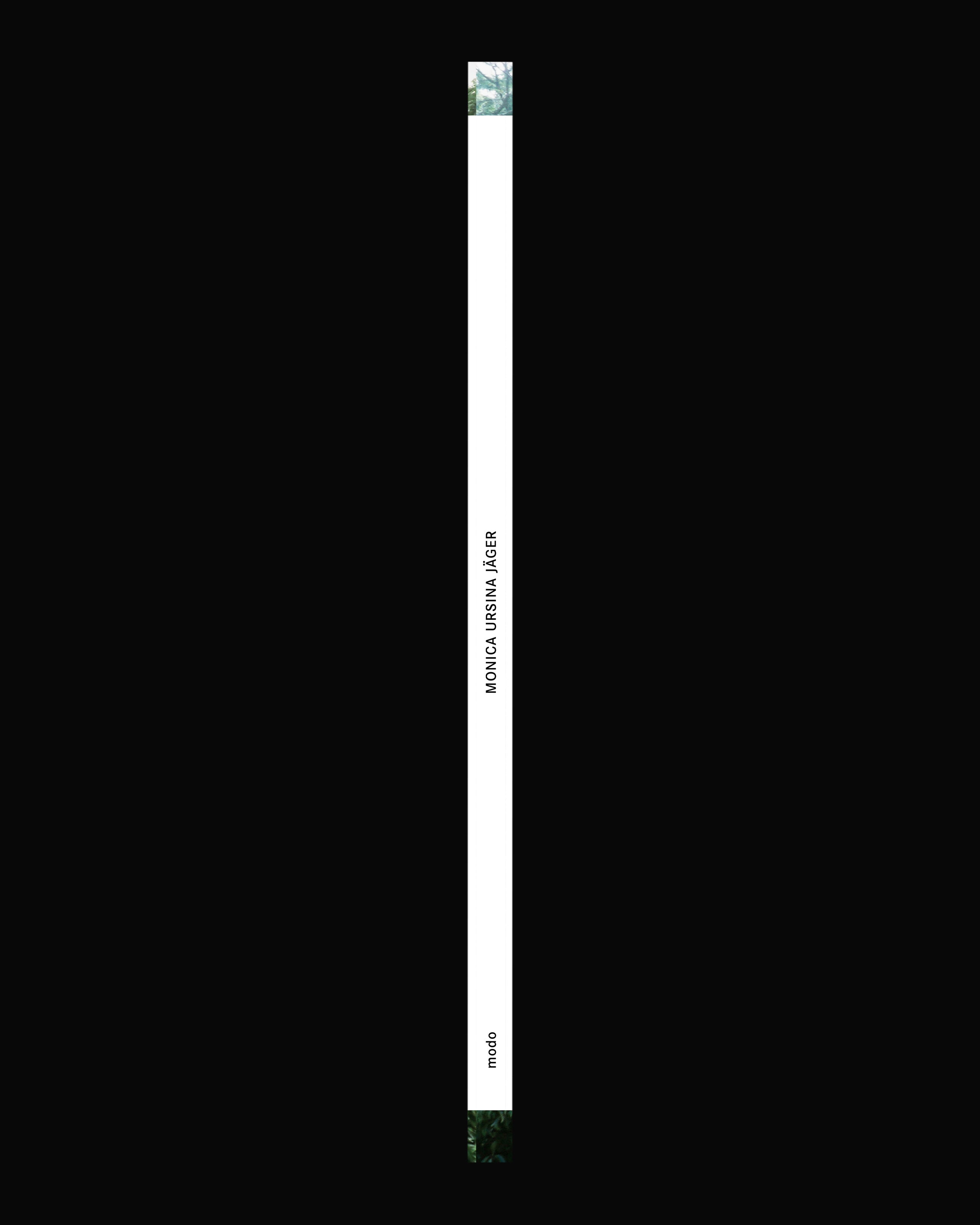 Kabinett Edition No. 10: Monica Ursina Jäger – Shifting Topographies