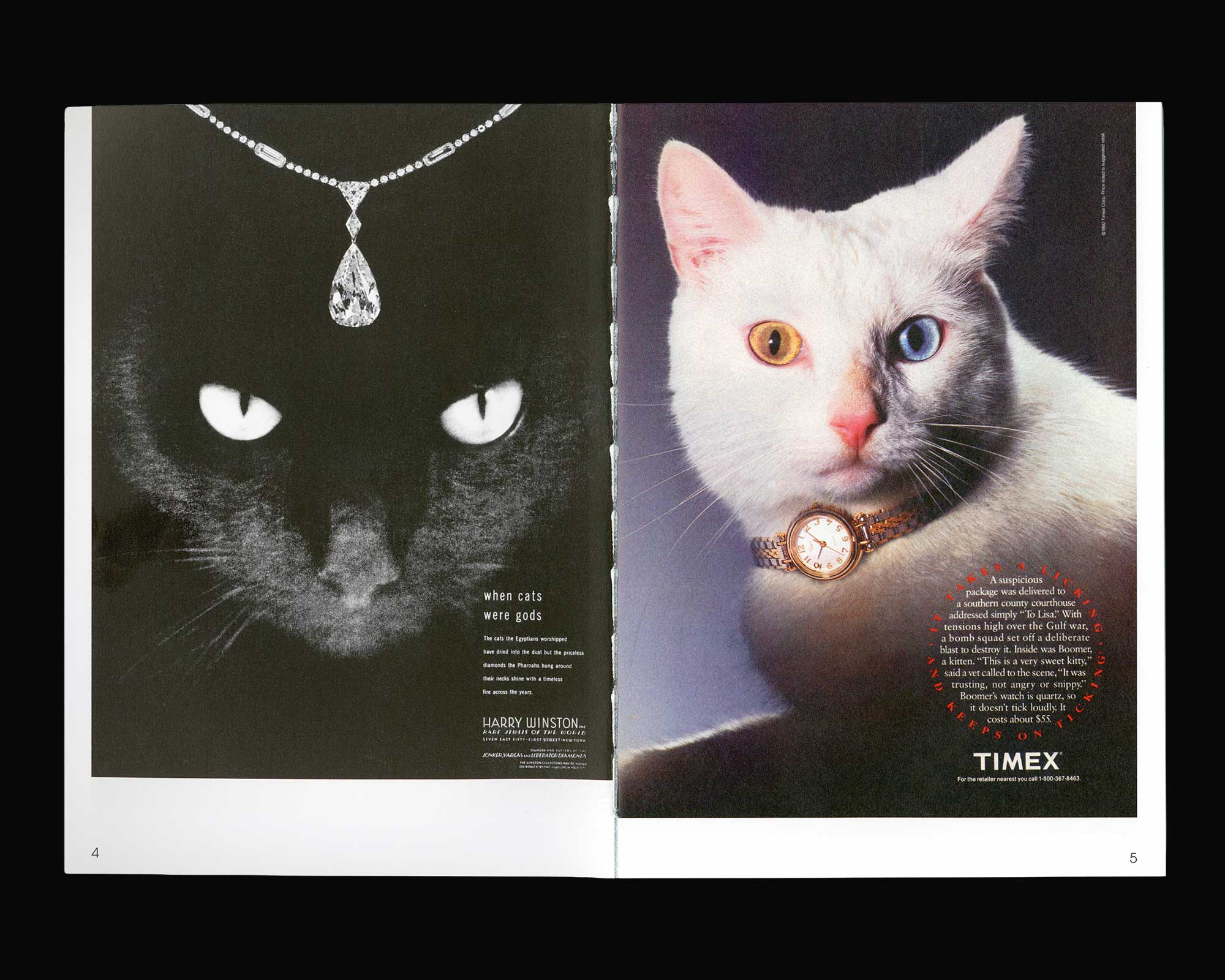 More Than Cat Food