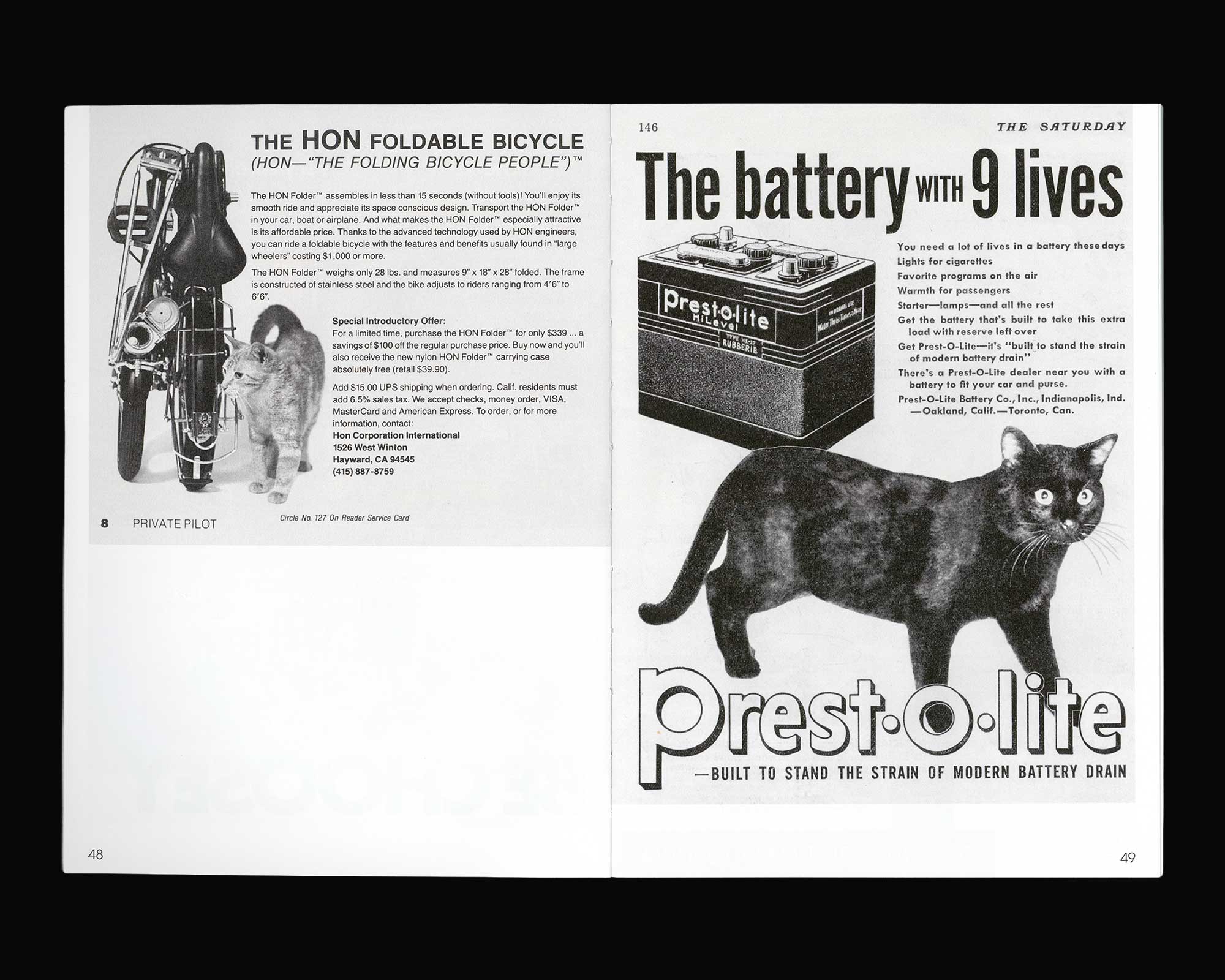 More Than Cat Food