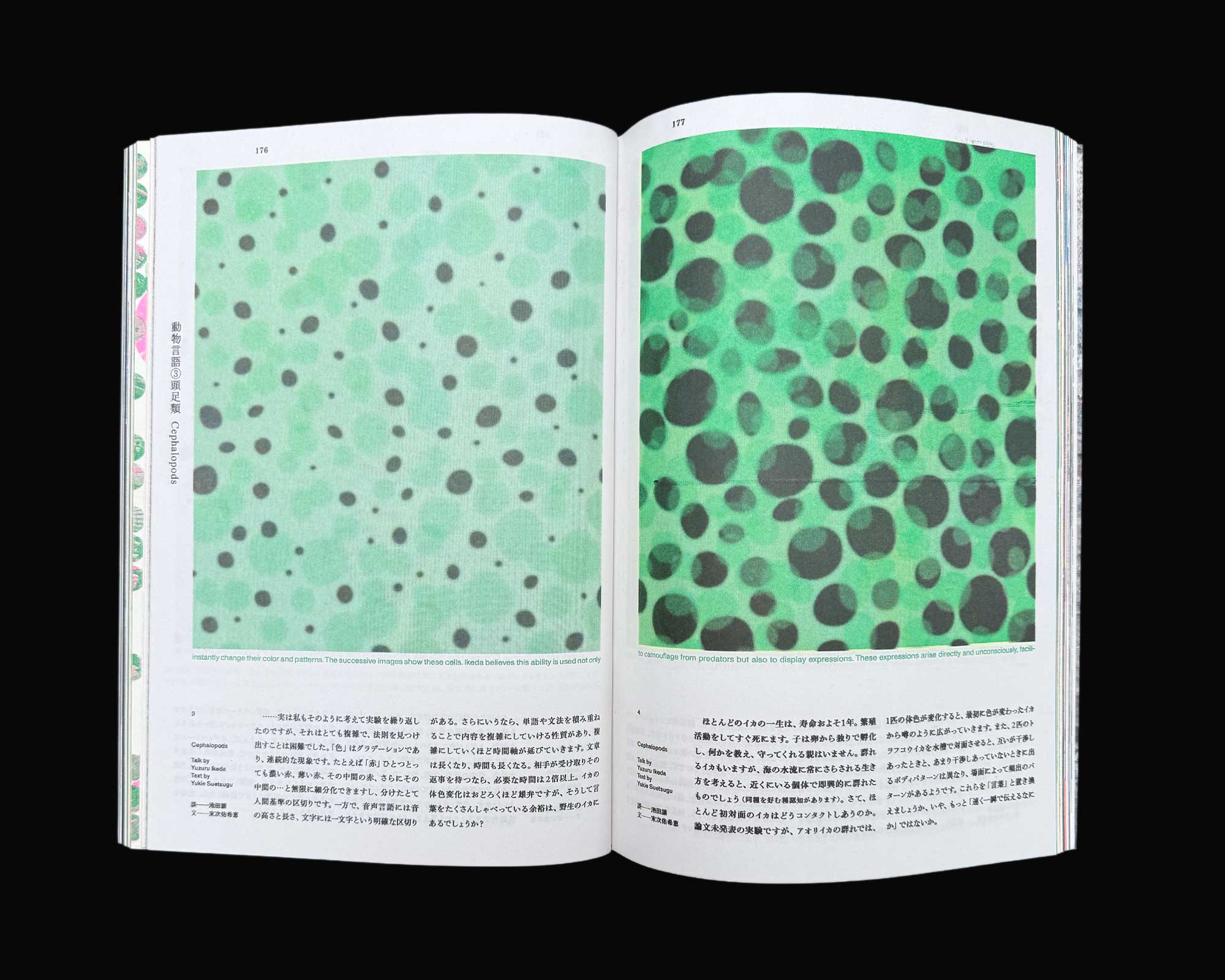 Neutral Colors Issue 5: Language
