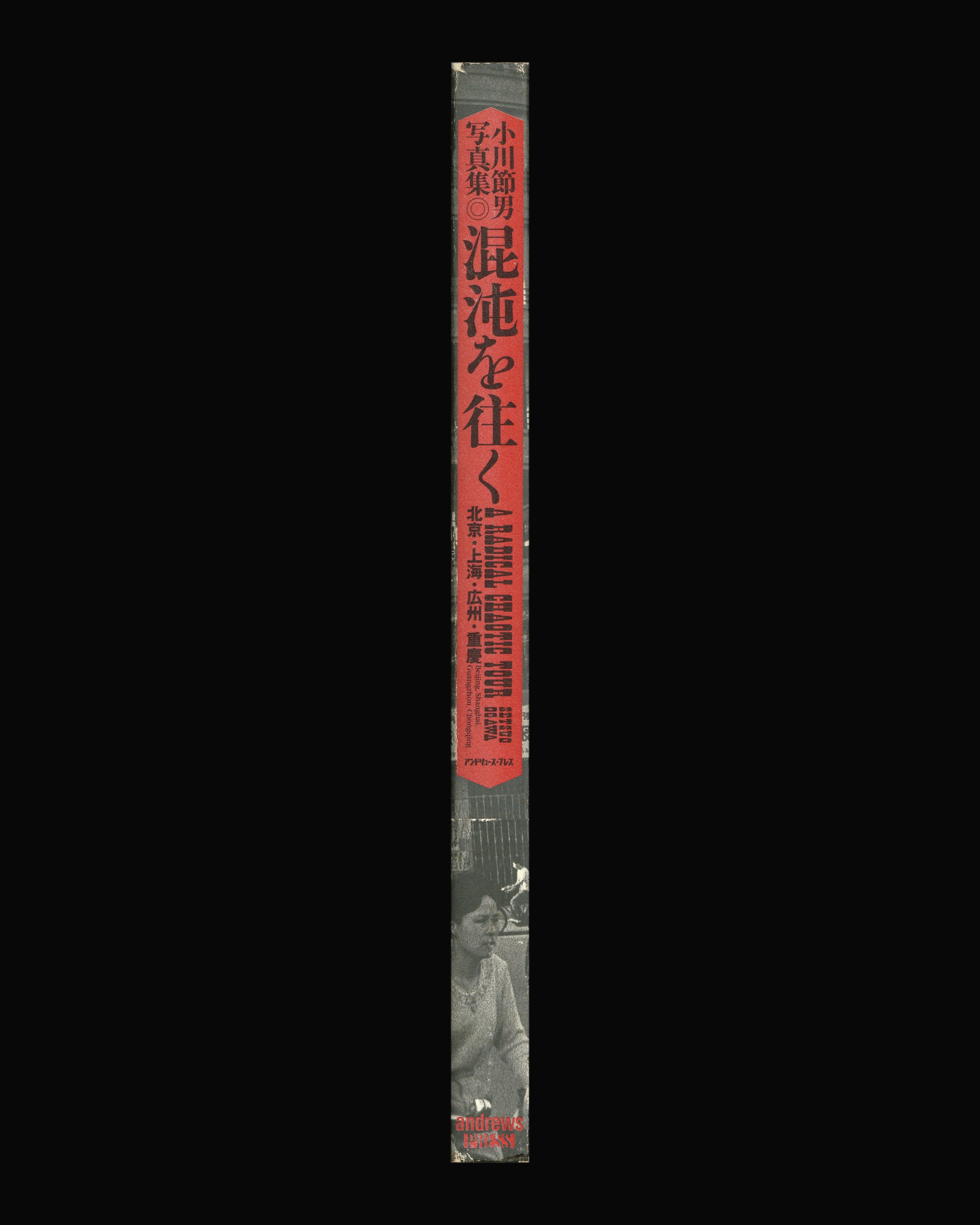 Setsuo Ogawa: A Radical Chaotic Tour