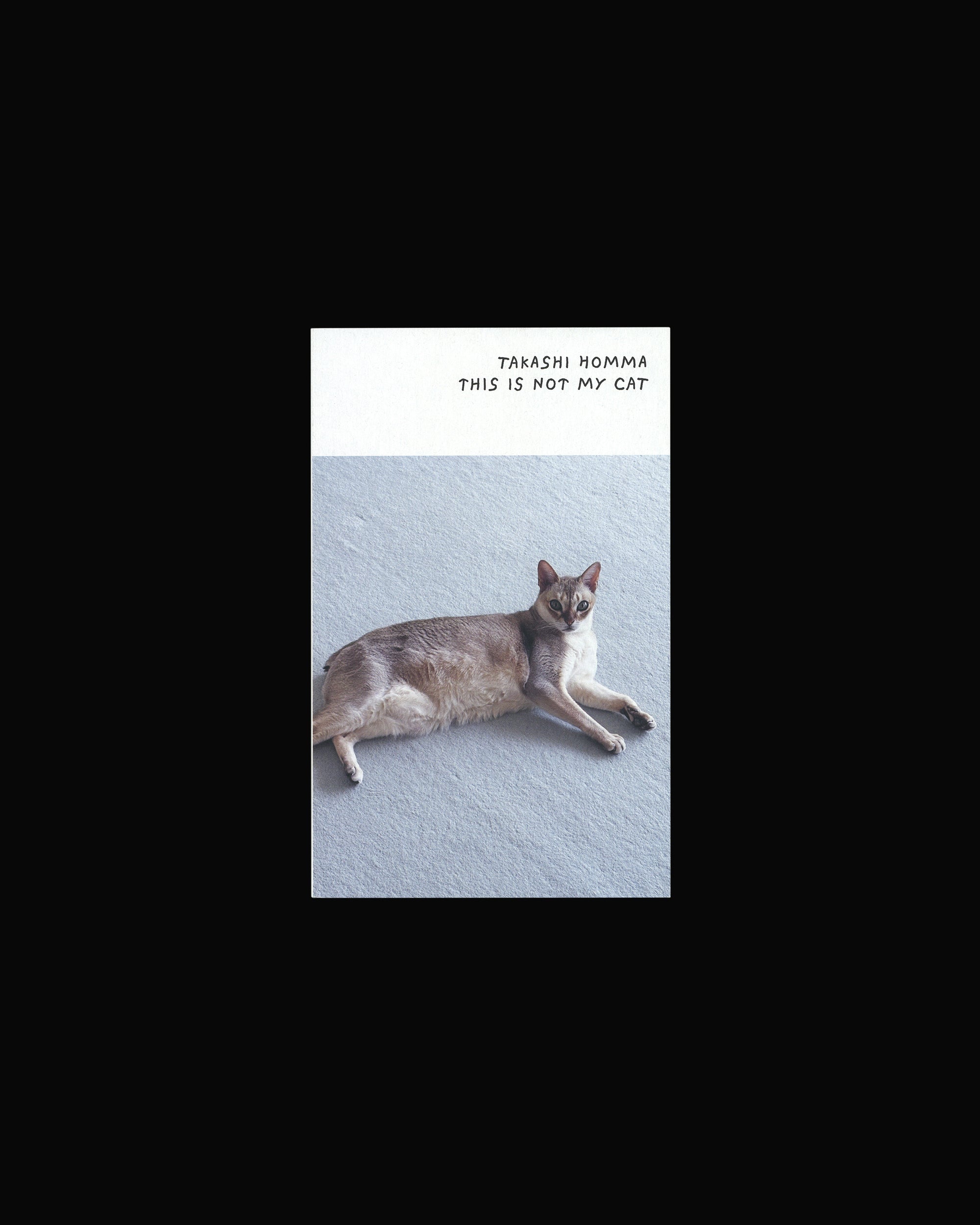 Takashi Homma: This is not my Cat