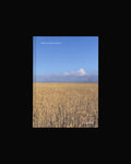Yoshie Itasaka: Infinity Complex Landscape