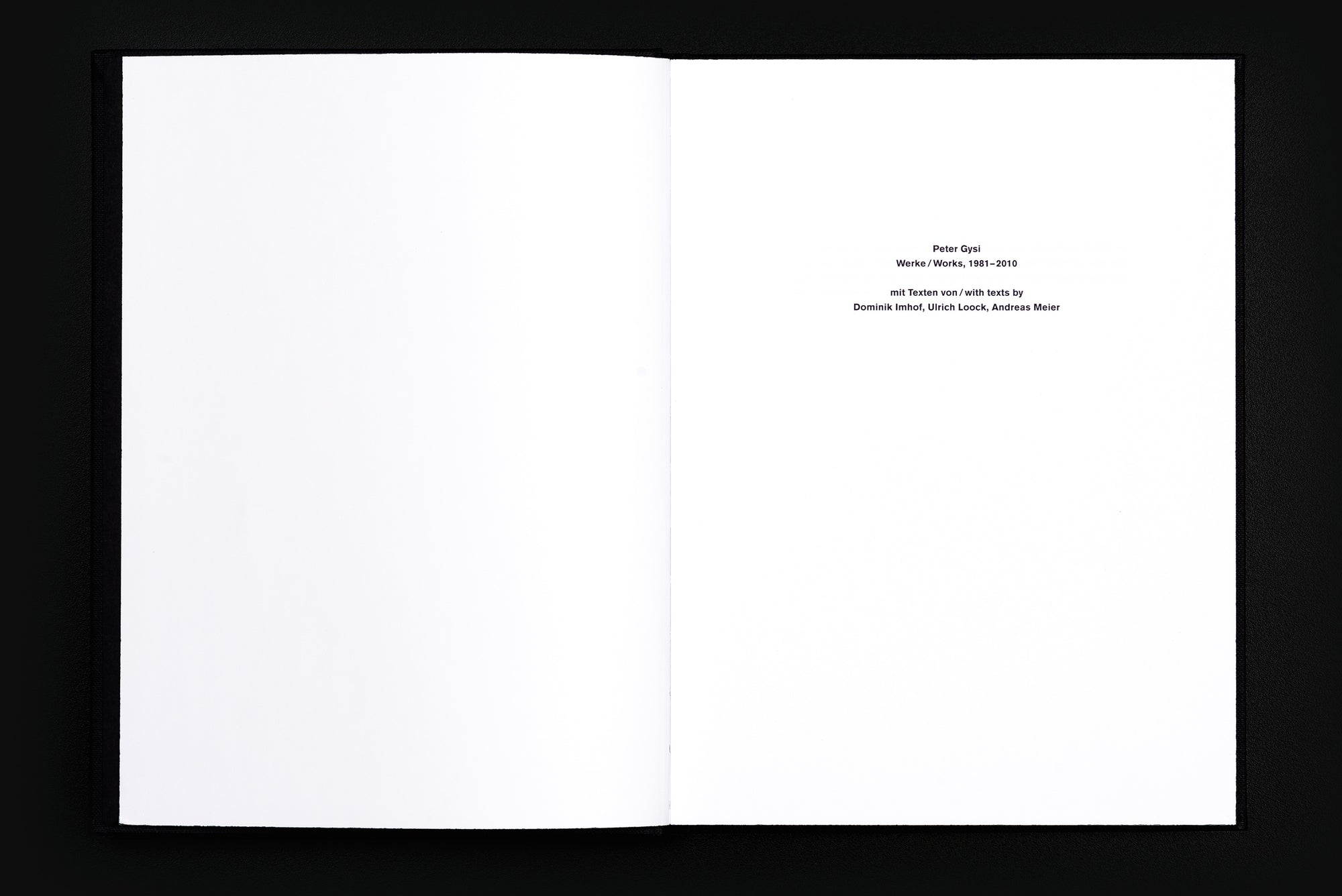 Peter Gysi: Werke/Works, 1981–2010
